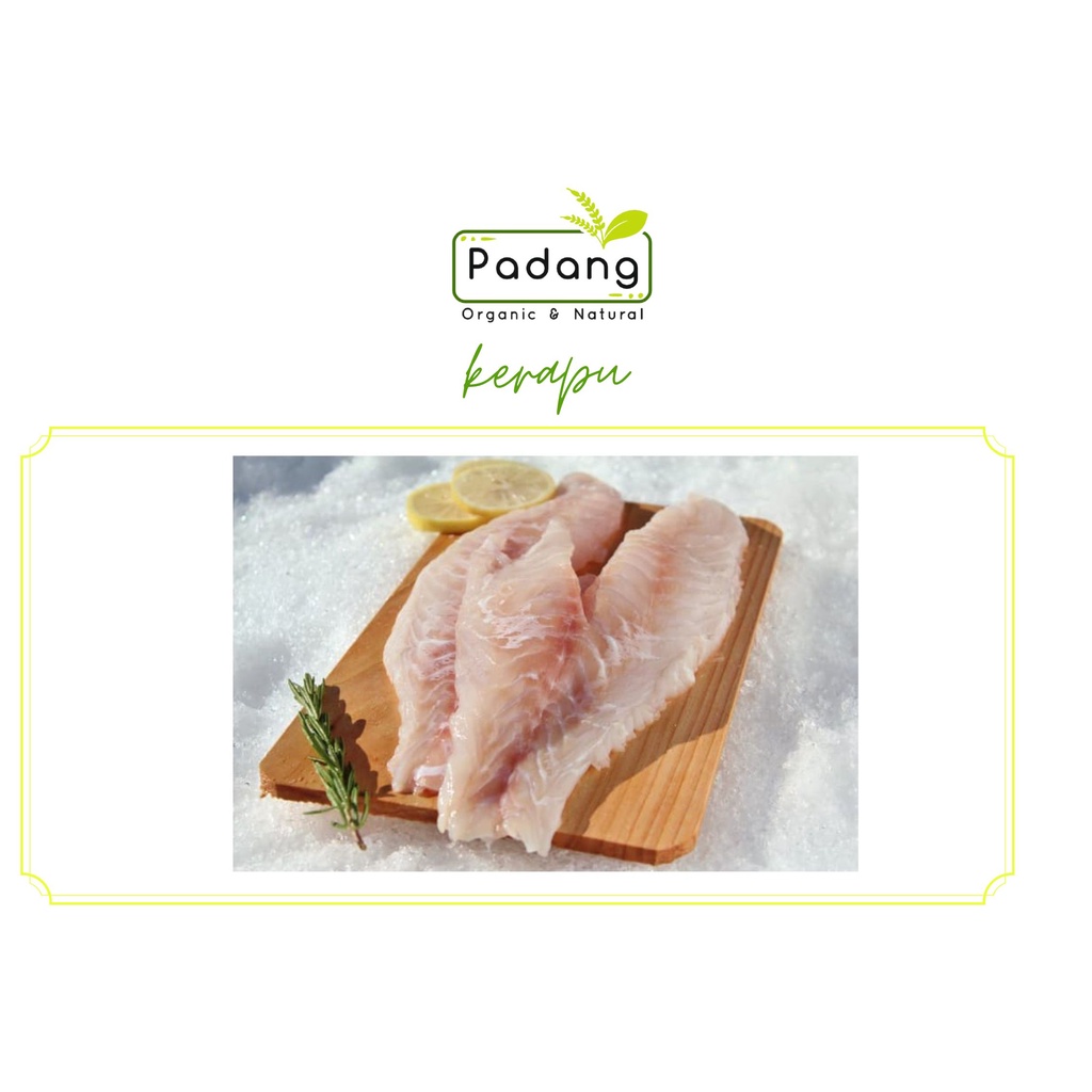 

Kerapu Fillet wild catch 500gr