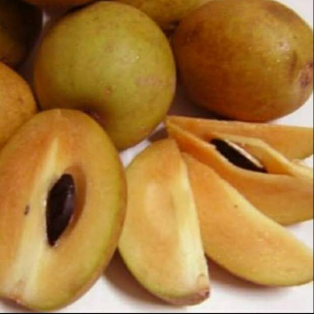 

Buah sawo legit fresh dan segar