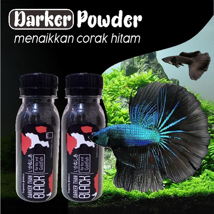 SERBUK DARKER BLACK Estrak BAWANG PUTIH Makanan Ikan Pakan Pelet Hitam