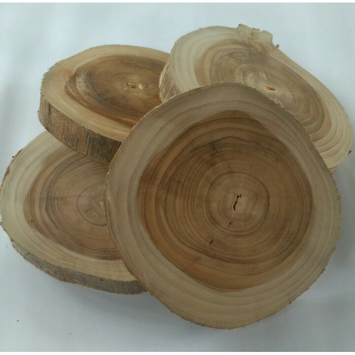 Potongan kayu Jati diameter 14-15 cm wood slice dekorasi bahan craft