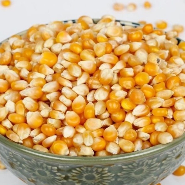 

1 KG JAGUNG PAKAN TERNAK JAGUNG POP CON POP CORN