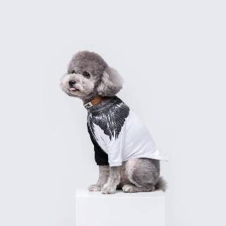 Baju Anjing Baju Kucing Baju Hewan Baju Anak Bulu Kucing Anjing