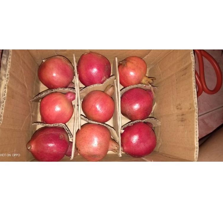 

[KODE BARANG 623F] Buah delima merah spanyol ukuran kecil per 1kg, Biji Lunak, manis dan segar