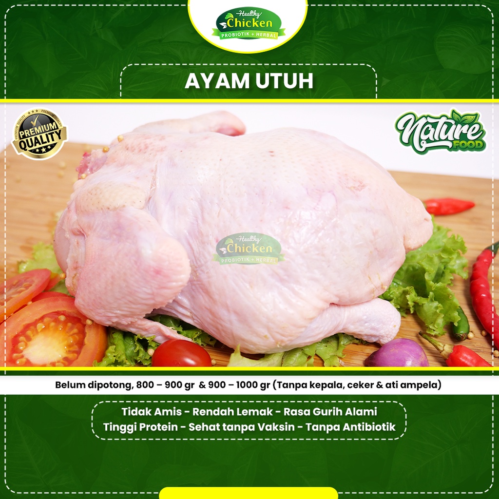 Jual Daging Ayam Probiotik Healthy Chicken Utuh Tinggi Protein Sehat Tanpa Vaksin Antibiotik