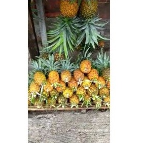 

nanas 1 buah