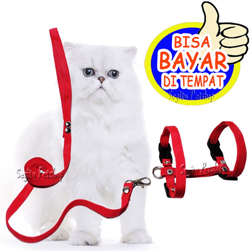 Harness H Kucing Hewan Musang Tali Tuntun