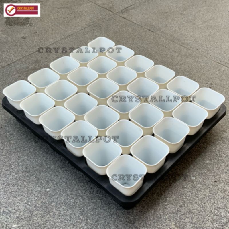 1 SET TRAY LUBANG 30 + POT NKT KOTAK 5CM PUTIH 30 PCS | TRAY SEMAI BIBIT