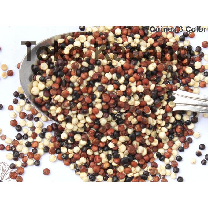 

PROMO ENAK Natural Tri Color Quinoa - 500g Terlaris