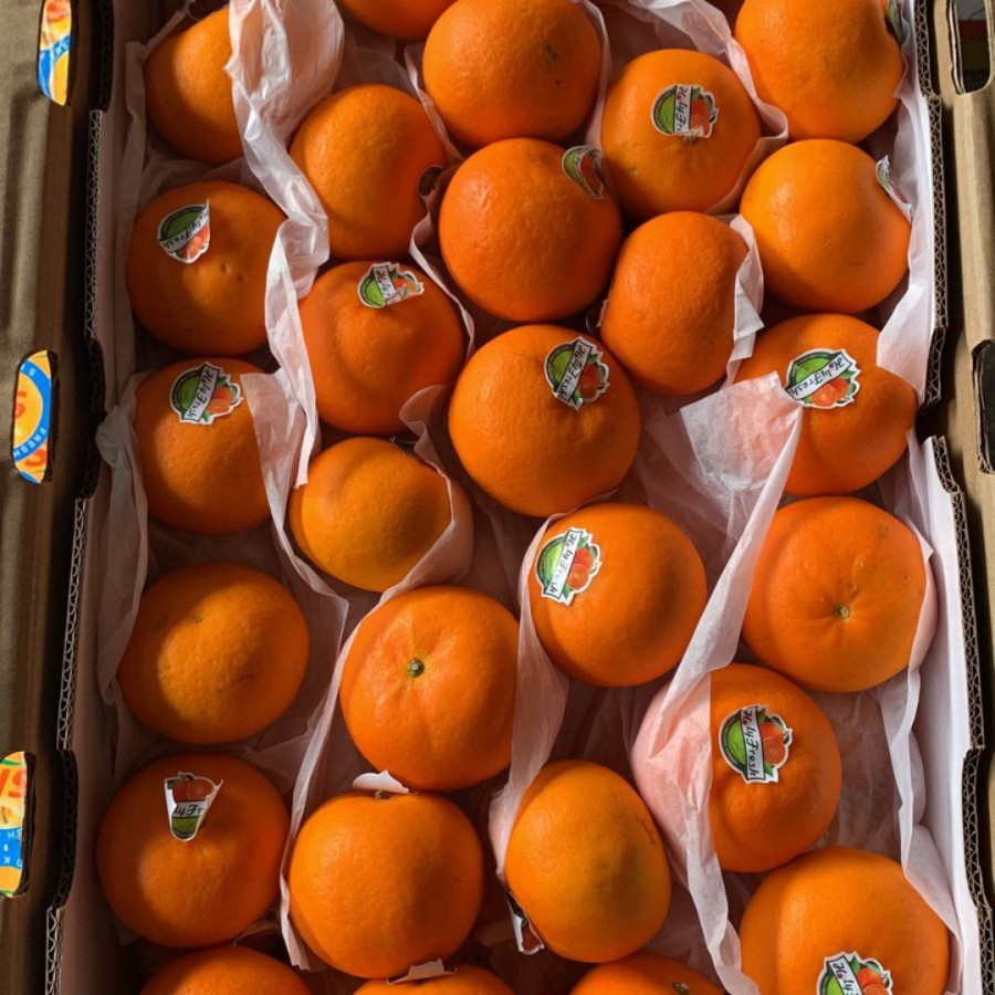 

jeruk wokam import 500 gram