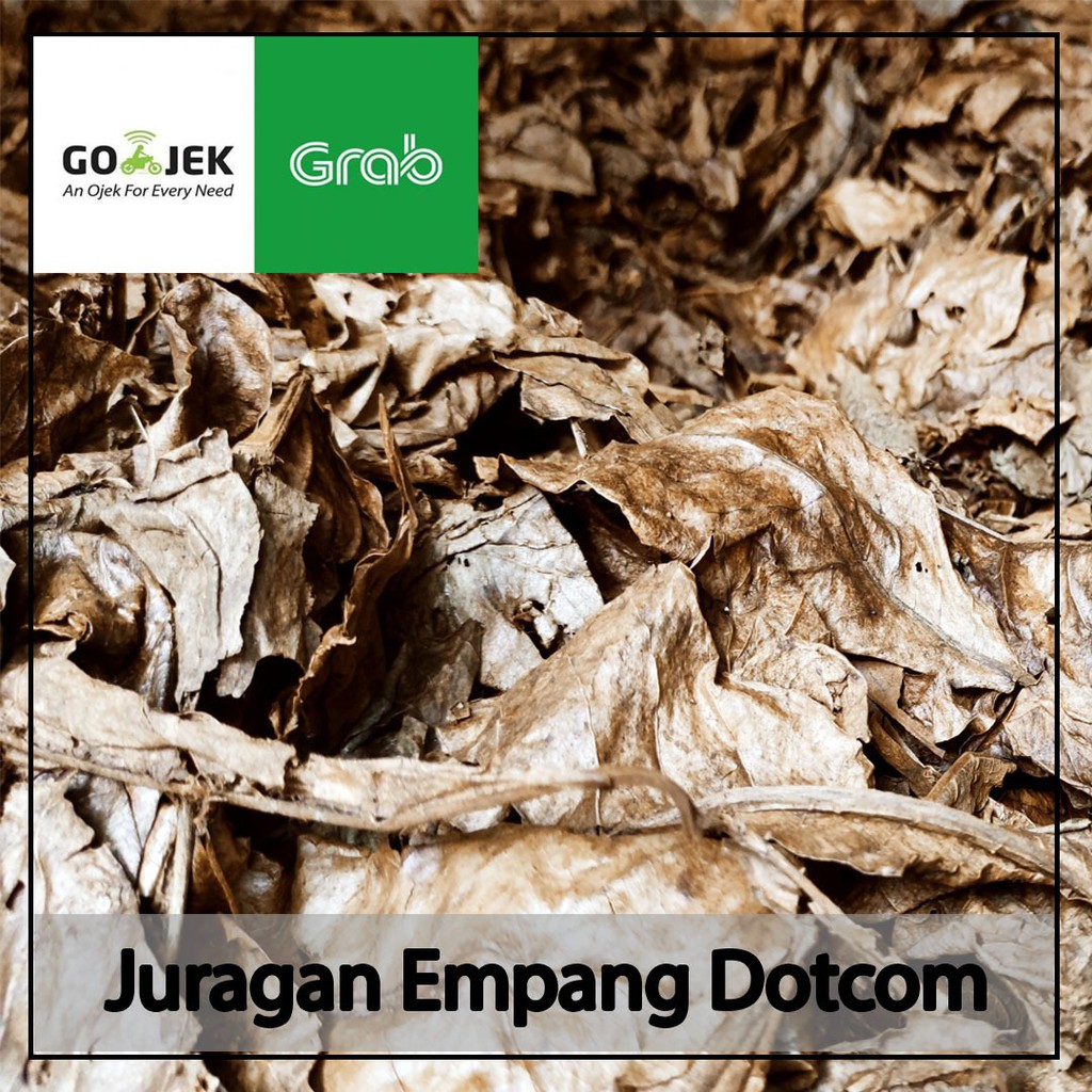 

Daun Ketapang laut olahan khusus gojek