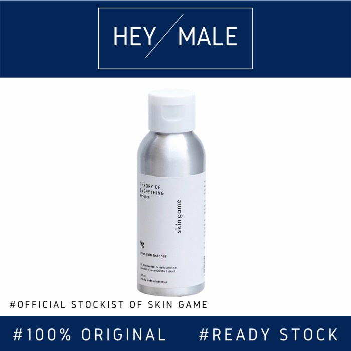 SKIN GAME Theory of Everything Essence