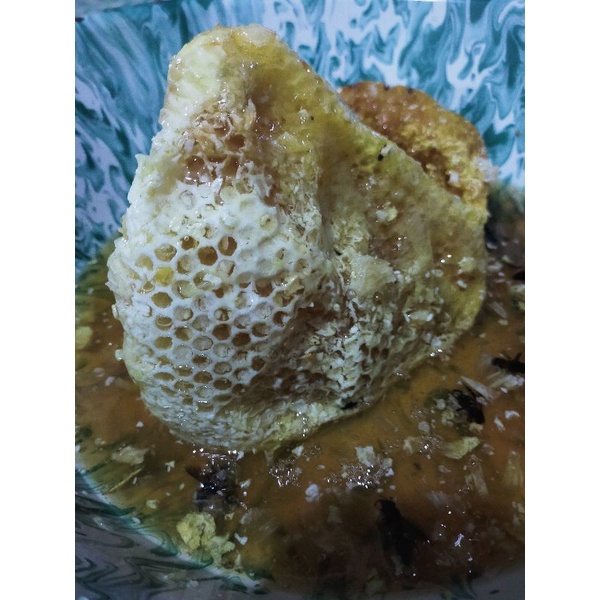 

Madu hutan sumbar Murni bergaransi