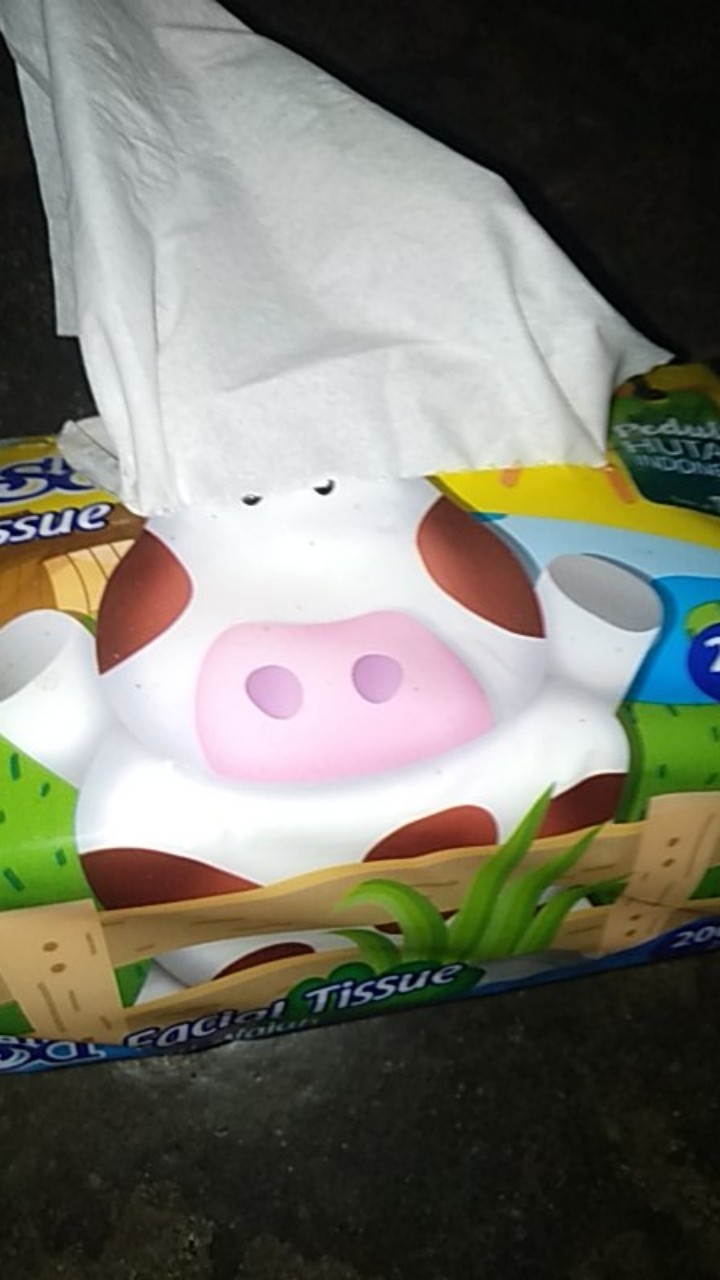 Murah Tissue Tessa 200 Sheets 200s