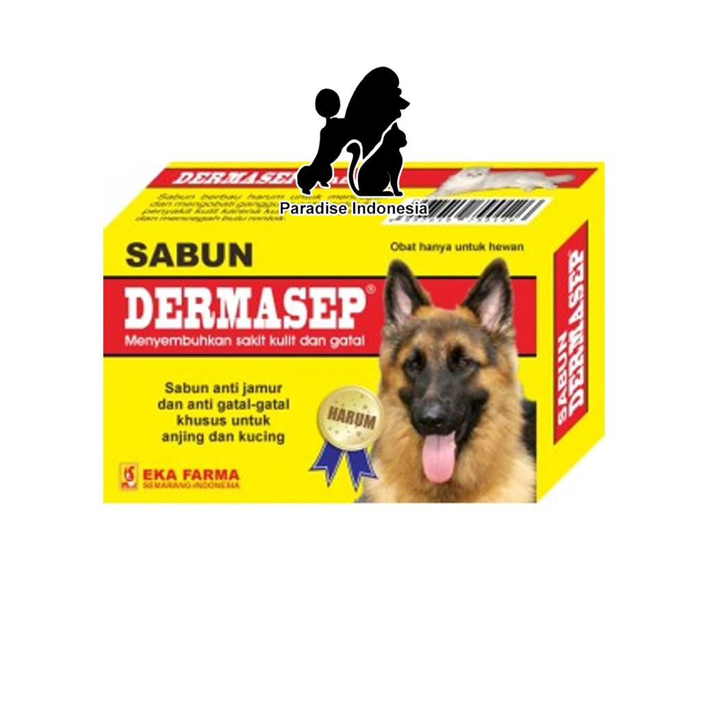 Dermasep Sabun anti jamur dan gatal Shopee Indonesia Dermasep Sabun anti jamur dan gatal Shopee Indonesia