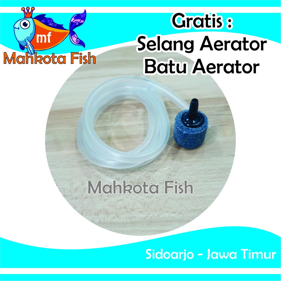 Aerator ACDC | AERATOR CAS | AERATOR LAMPU MATI | Air Pump Aquarium | Mesin Airator (GRATIS BUBLE WRAP)