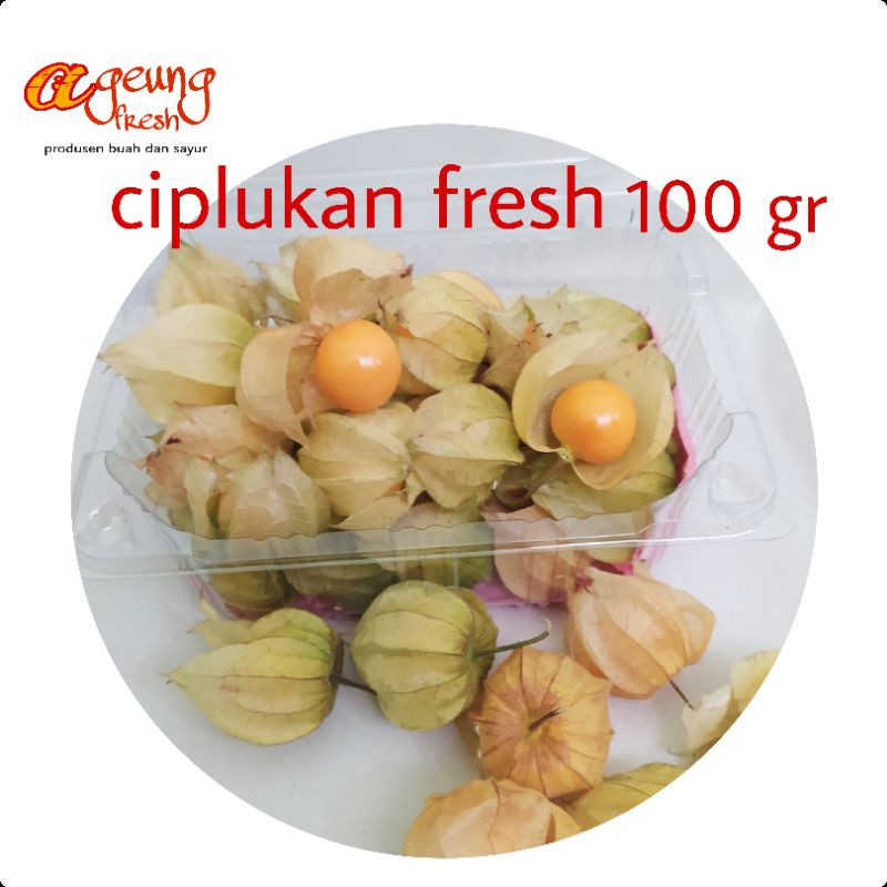 Buah ciplukan-cecendet-goldenbery 100gr  Shopee Indonesia