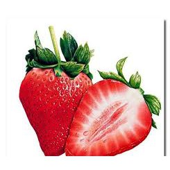 5  benih Strawberry Lemonade Mix (F1) Sunflower Seed