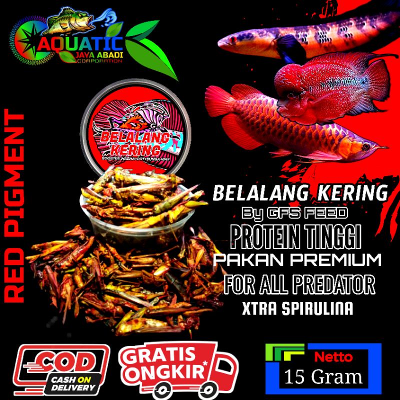 Belalang Kering Red Pigment Booster Warna Dot Bunga