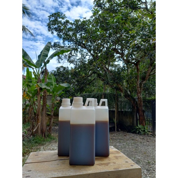 

Madu Hutan Jambi Murni Asli 100 % 1 Kg
