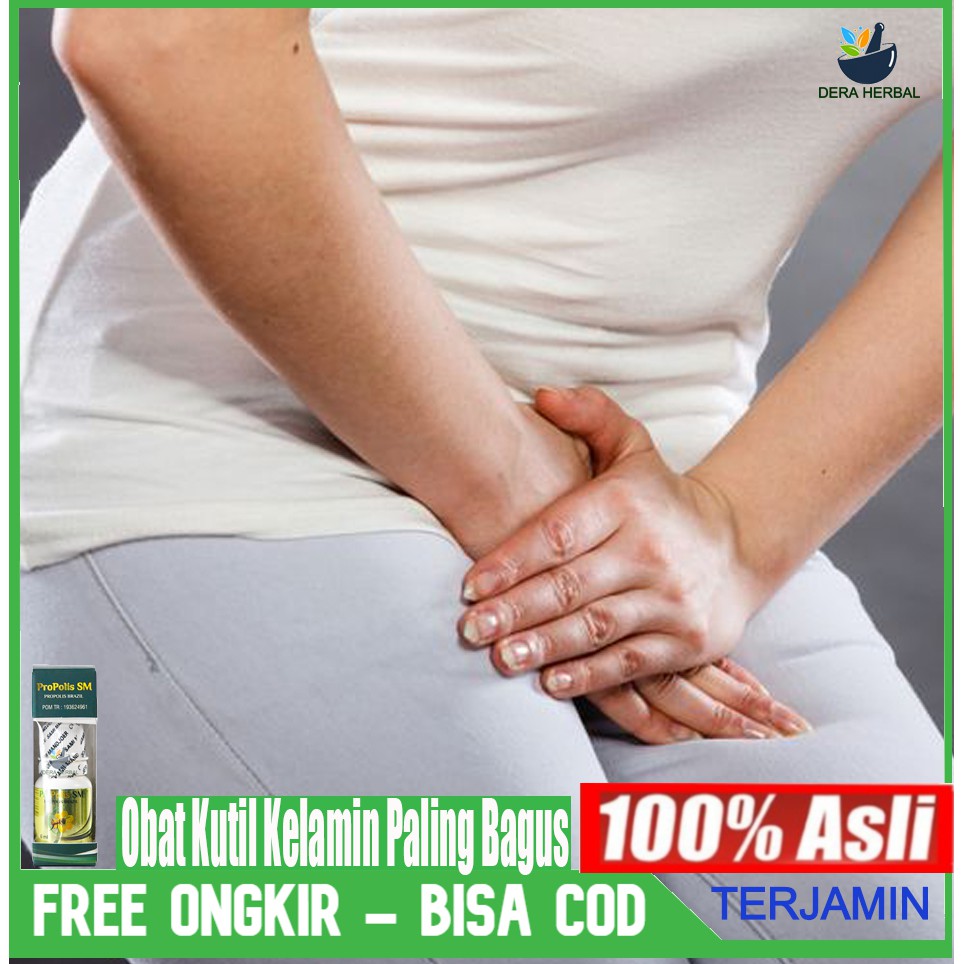 Obat Herbal Untuk Atasi Kutil Di Kelamin Pria & Wanita Sipilis Gonore Kencing Nanah Raja Singa Kutil
