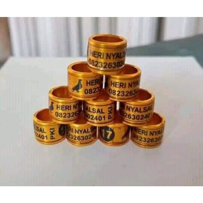 RING MEWAH BUAT MERPATI TIPE RODA TRANSPARAN