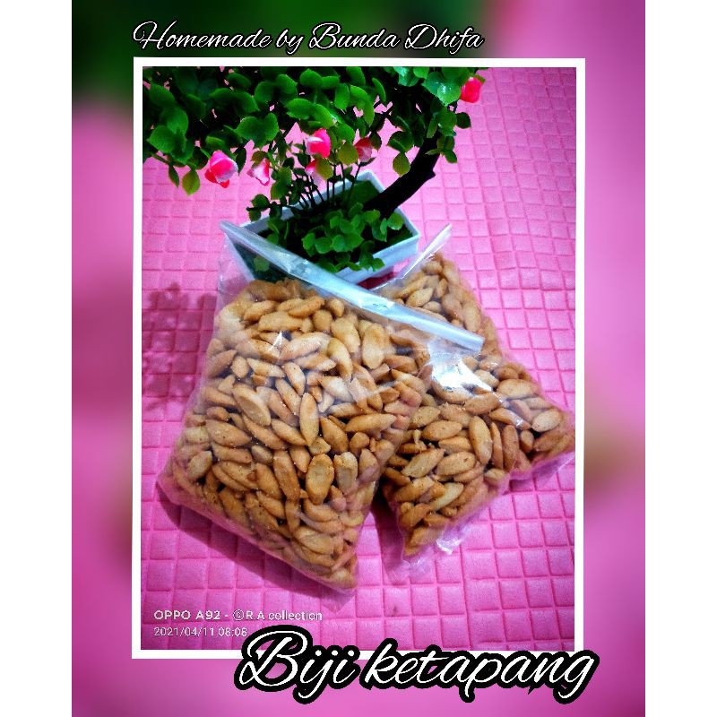 

biji ketapang 500gram