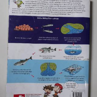  buku  komik  why  fish ikan preloved Shopee Indonesia