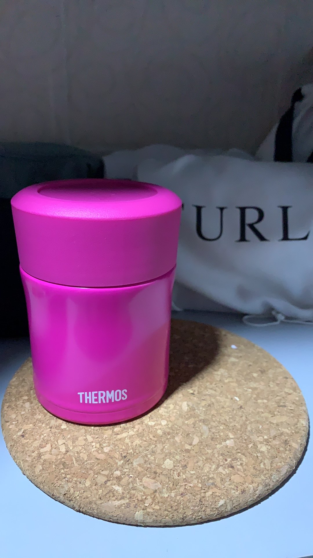 Thermos Food Jar Vacuum Insulated - Berry 300ml(jbj-301-bry)