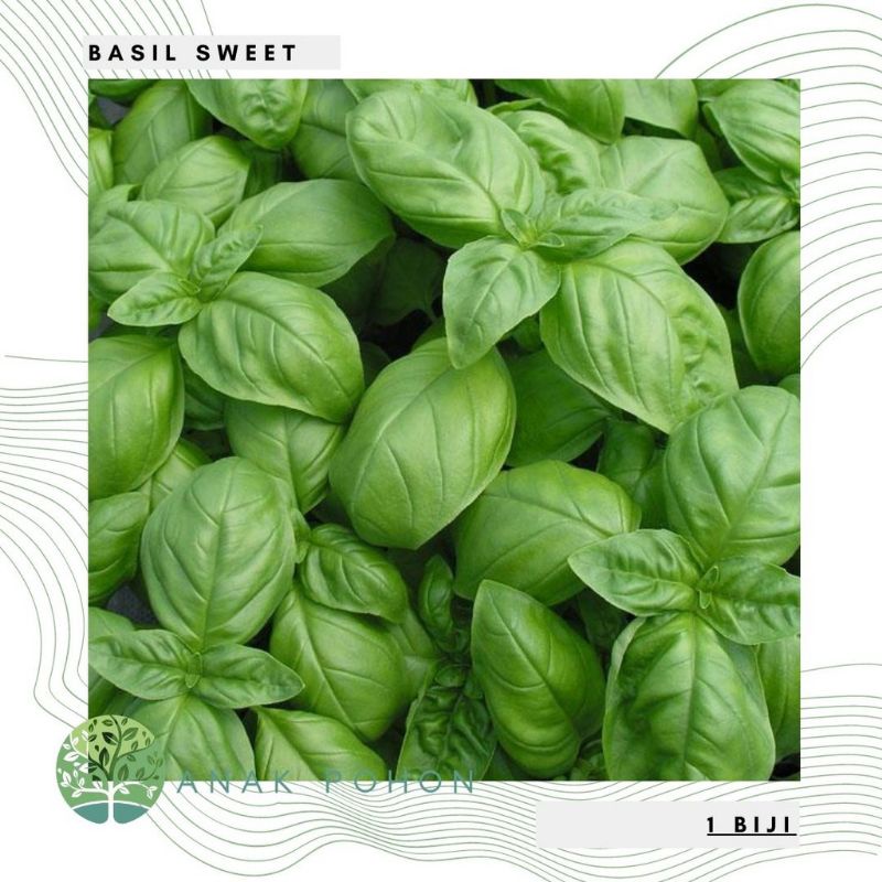 Basil flake  (30 gram)