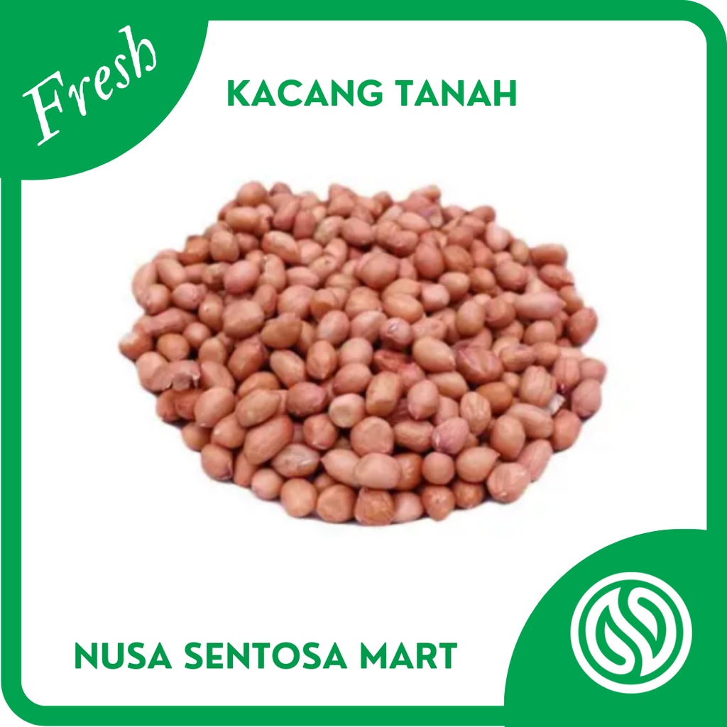 

Kacang Tanah Segar – 500 gram