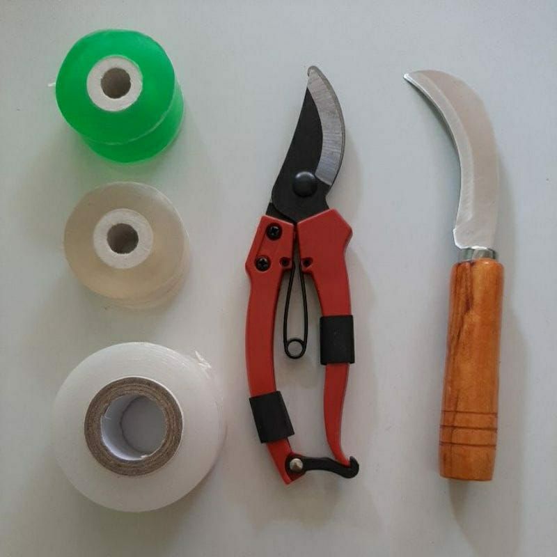 Grafting tool set gunting pisau dan tape Okulasi