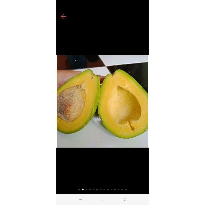 

Alpukat mentega