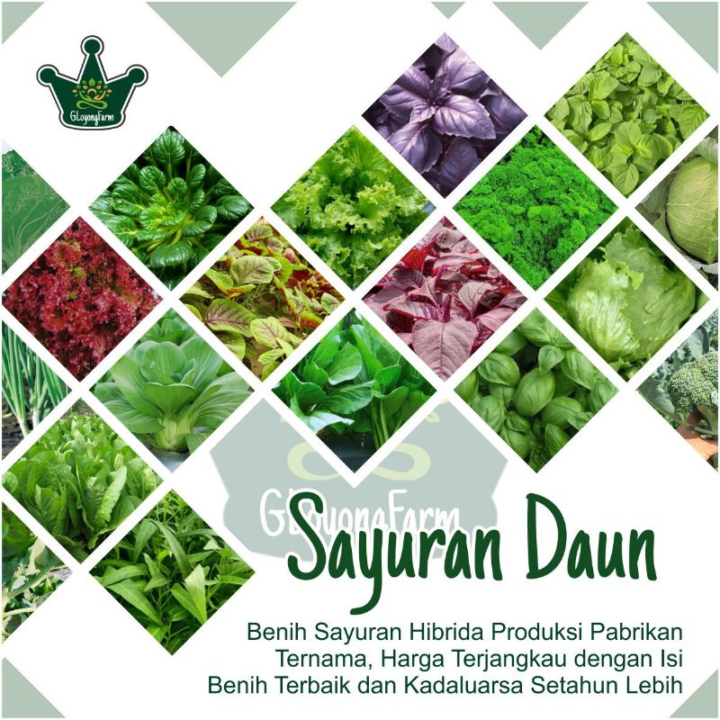 Benih Sayuran Selada Brokoli Kangkung Bayam Seledri Kubis BungaKol Pakcoy Caisim Kailan