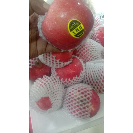 

apel fuji premium 40000/kg