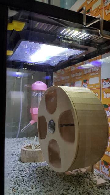 Kandang Hamster Terarium lucu paket kumplit