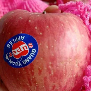 

Buah apel puji rrc fres manis per 1 kg