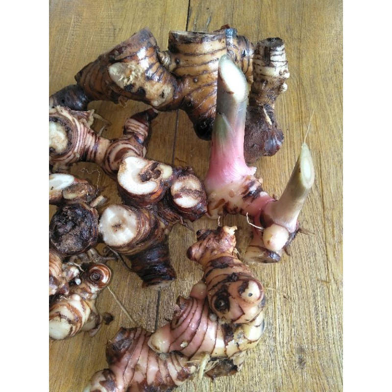 laja,atau lengkuas1kg