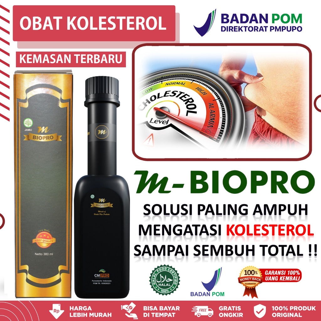 obat kolesterol paling ampuh,obat kolesterol,obat herbal untuk menururnkan kolesterol tinggi,obat ko