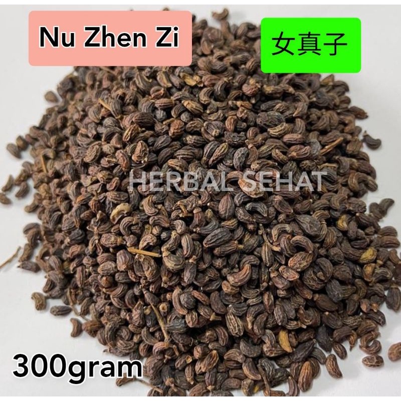 

300 gram Nu Zhen Zi 女真子 Fructus Ligustri Lucidi