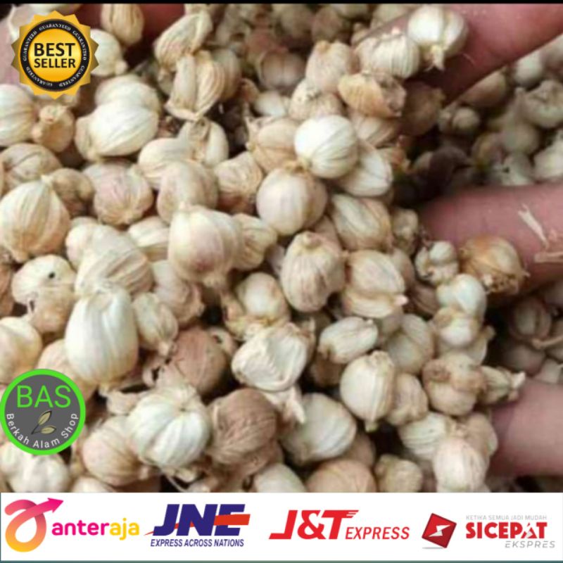 

kapol kering 100 gram