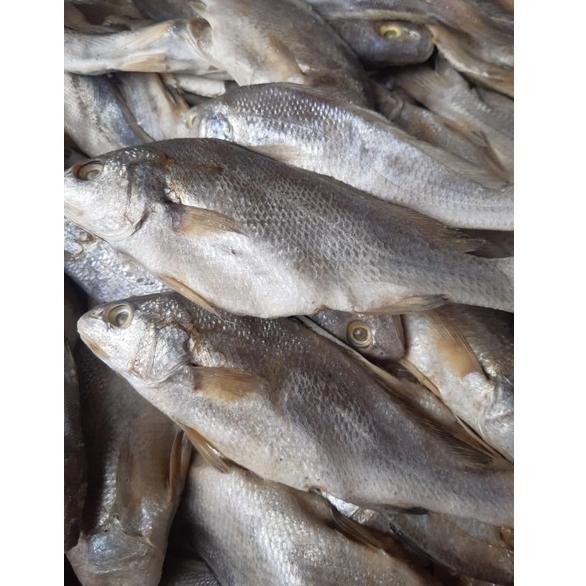 

Ready✯ Ikan Asin Sileman 500 gr 45 ➯
