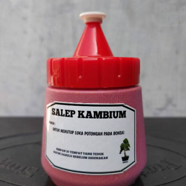 Salep Kambium Plus Fungisida