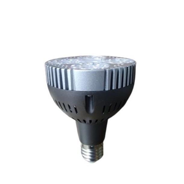 Ecocity Lampu Sorot Par30 LED 30Watt/Lampu par led spot