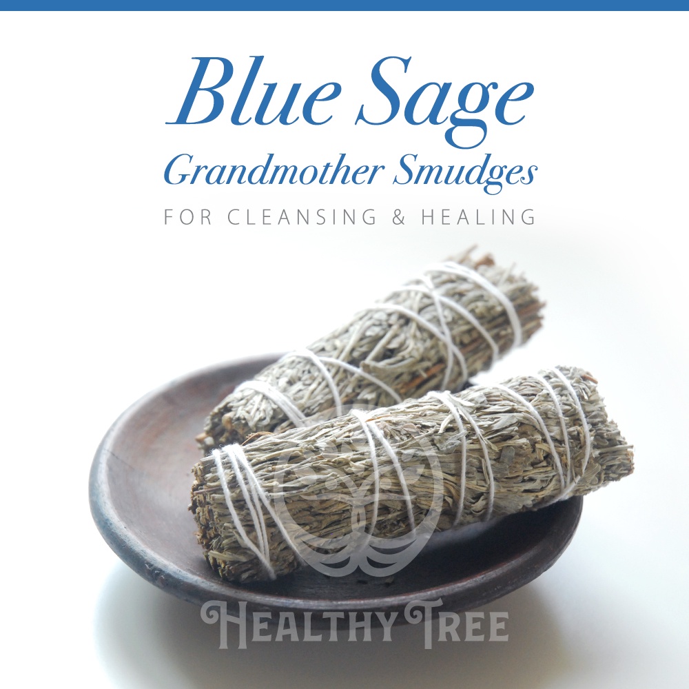 Blue Sage (Grandmother Sage) Smudge Stick 4 INCH (9 cm)
