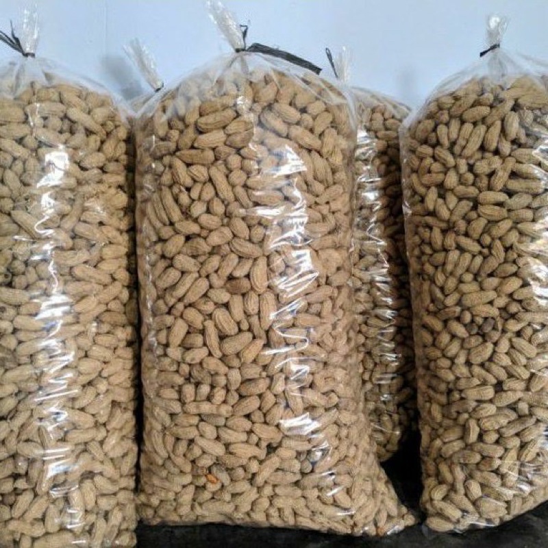 

[ Ide Usaha ] Kacang Sangrai 5kg kacang oven kacang kulit tanah original