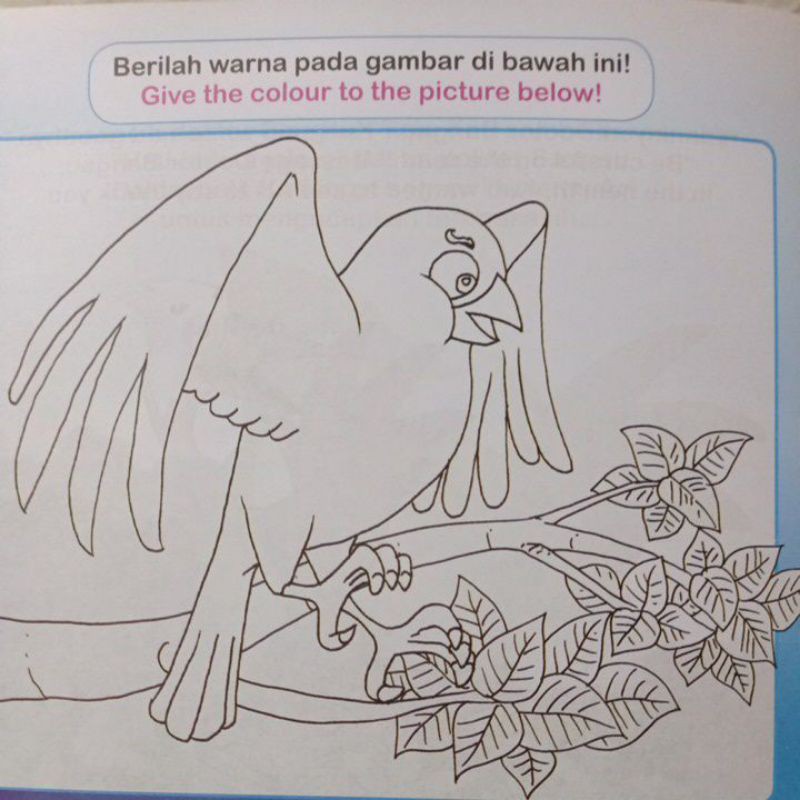 52+ Sketsa Gambar Burung Kenari HD Terbaru