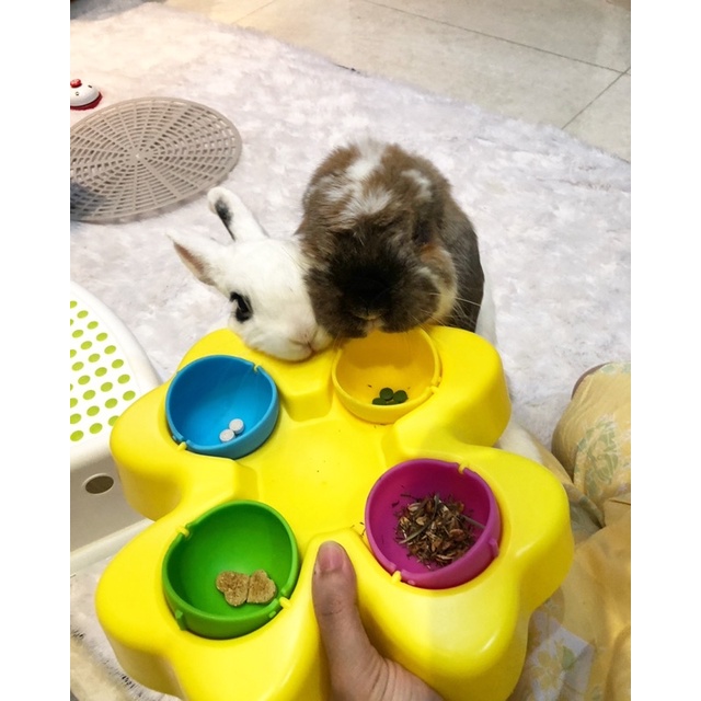 FlipFlap mainan kelinci digging