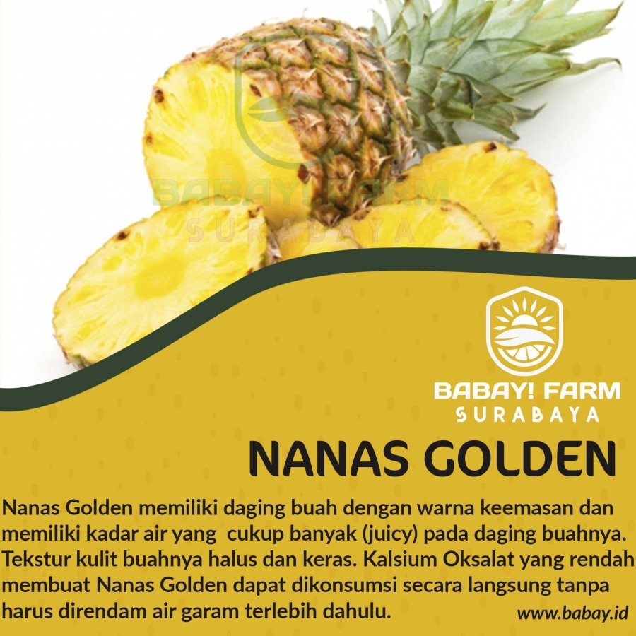 

Buah Nanas Golden