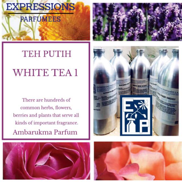 teh putih bibit parfum white tea 1kg by EP