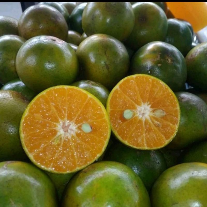 

Jeruk Peras Segar 1kg